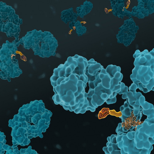 Scientific illustration of proteins and binding molecules
